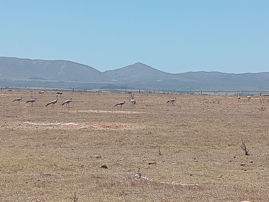 Commercial Property for Sale in Humansdorp Rural Eastern Cape